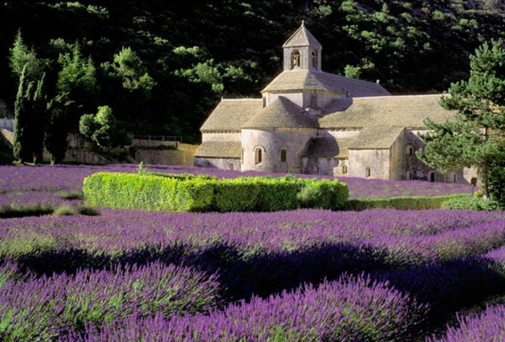 Au Bastidon De Gordes Exterior foto